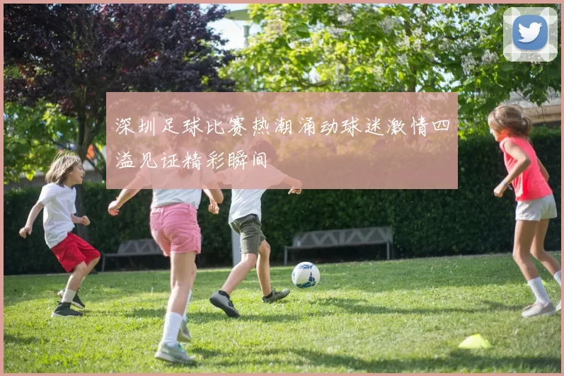深圳足球比赛热潮涌动球迷激情四溢见证精彩瞬间