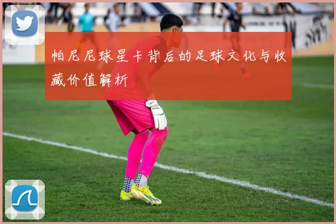 帕尼尼球星卡背后的足球文化与收藏价值解析